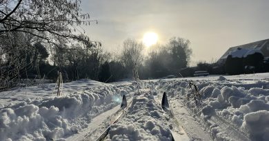 Die Medem-Loipen-Acht